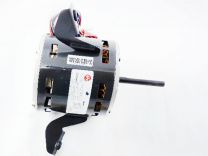 913357.jpg